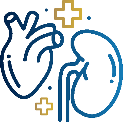 โปรแกรมฟื้นฟูหัวใจ ไต และระบบเมตาบอลิก